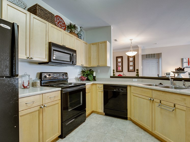 Black Kitchen Appliances